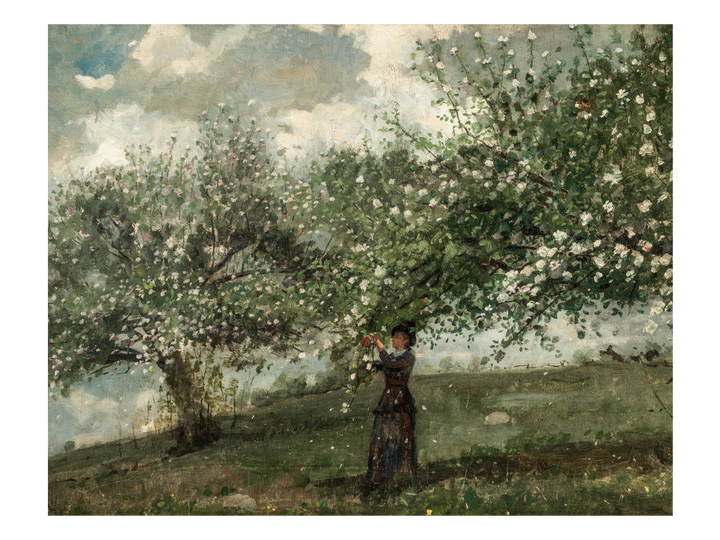 Spring