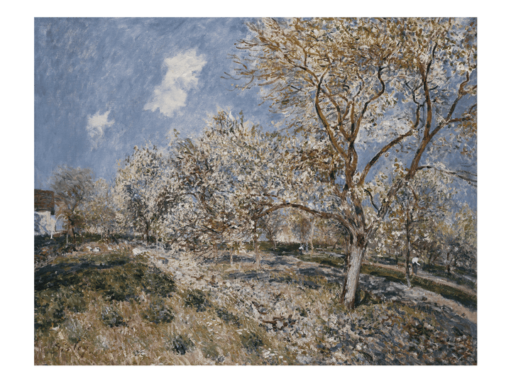 Spring in France