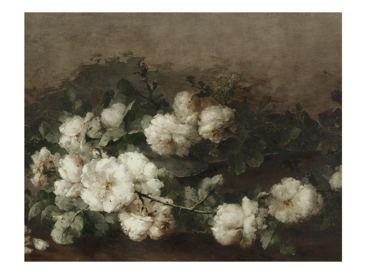 Still Life Roses