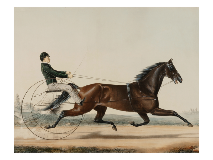 The Race