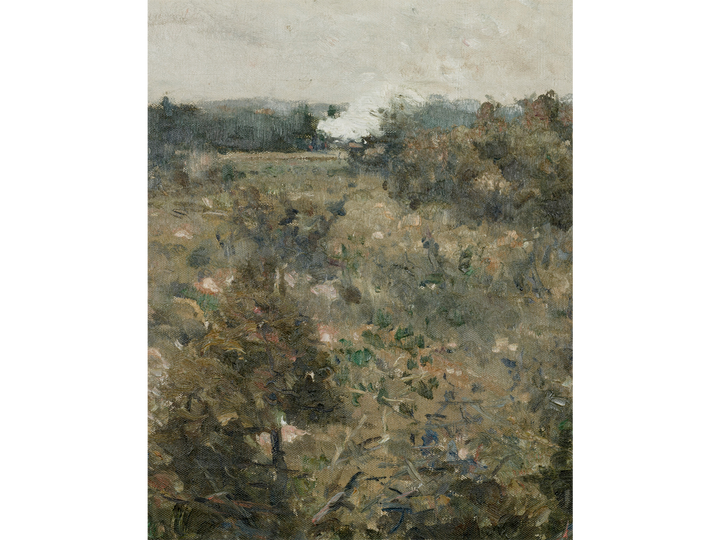 Train and Field II