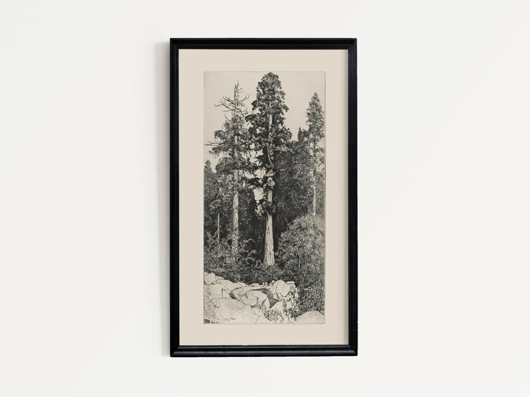 Tree Four
