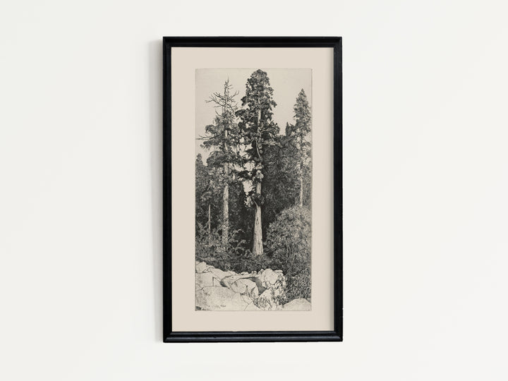 Tree Four