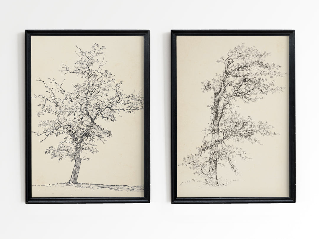 Tree Sketch Set