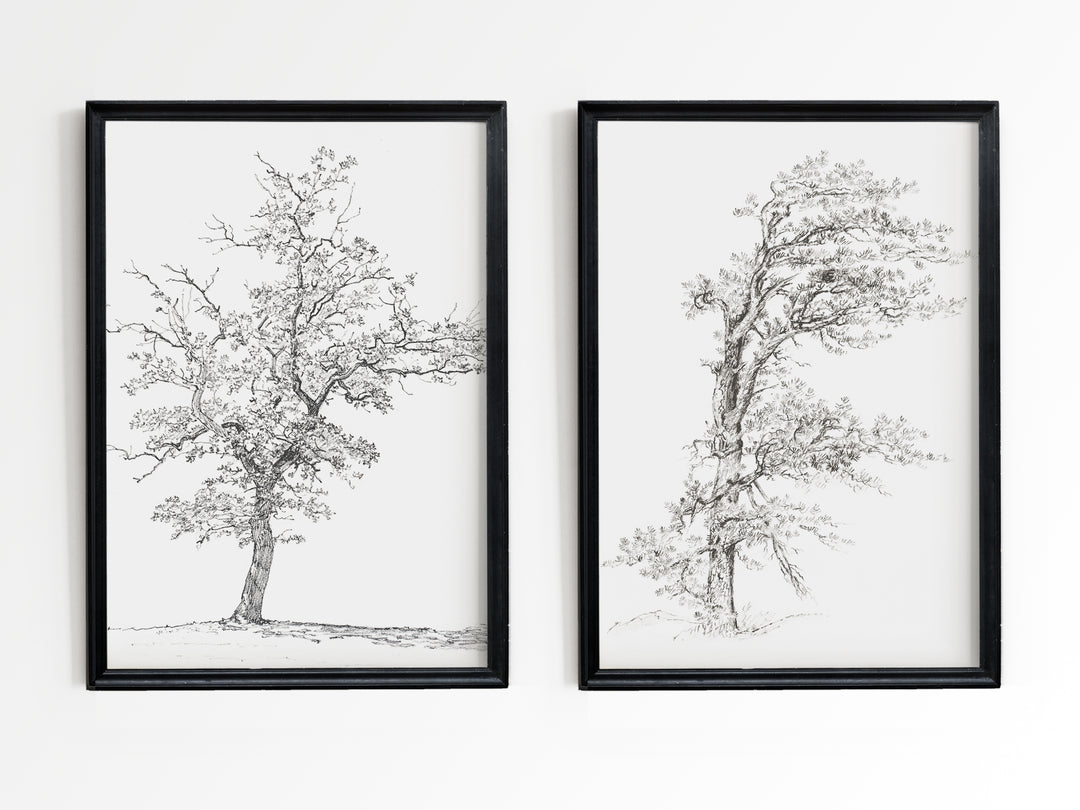 Tree Sketch Set