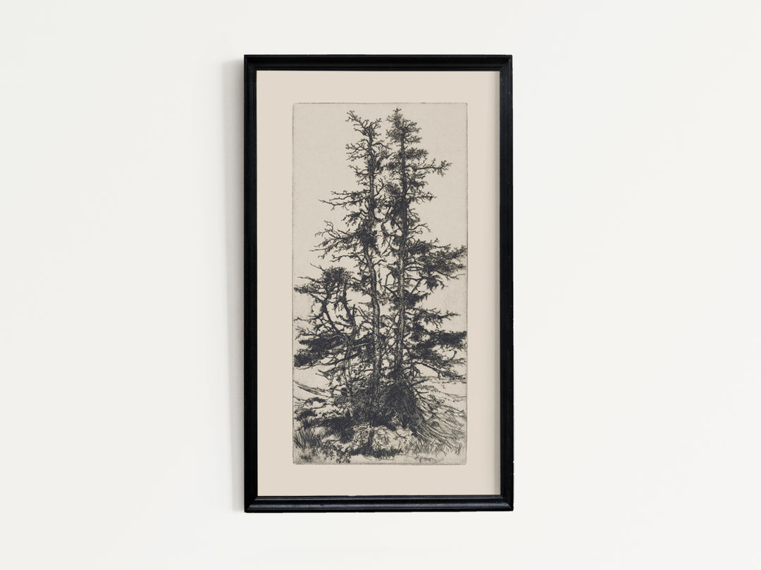 Tree Two