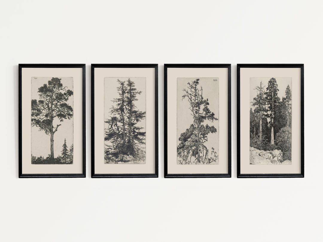 Tree Set