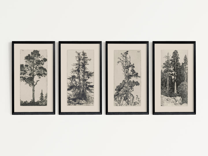 Tree Set