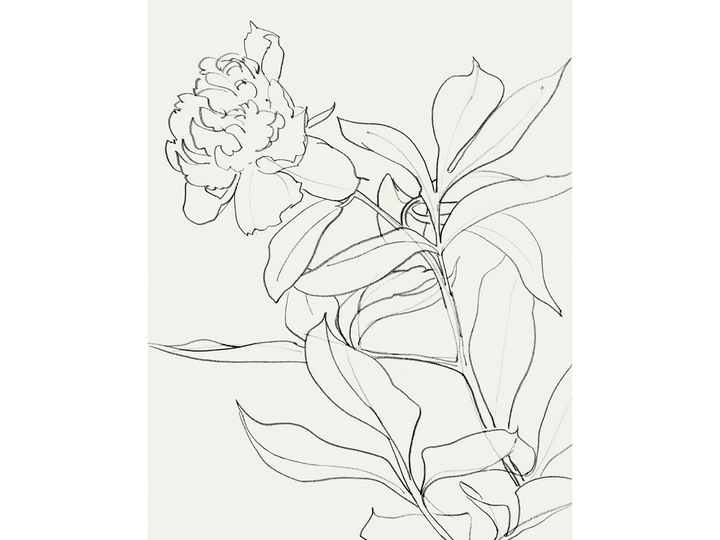 Wild Bloom