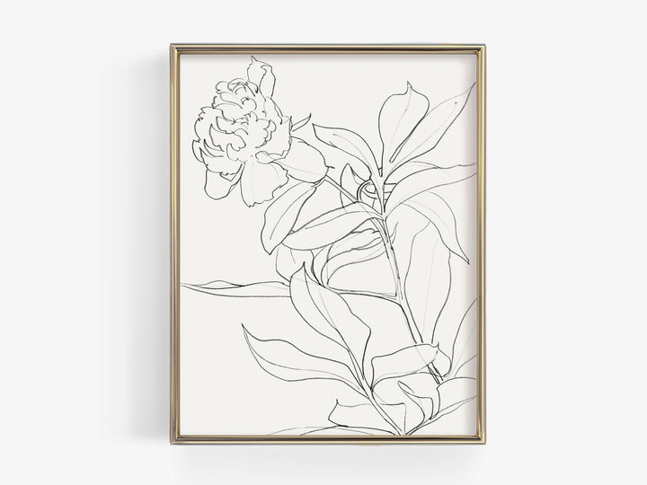 Wild Bloom