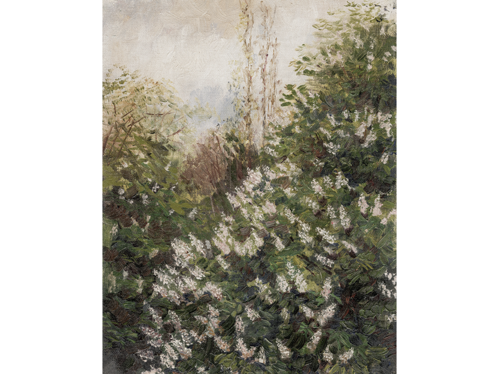 Wild Lilacs