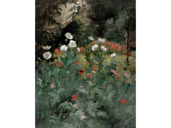 Wildflowers