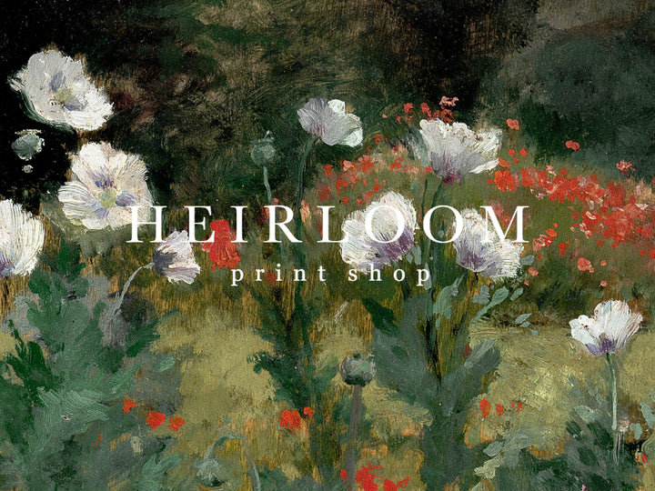 Wildflowers
