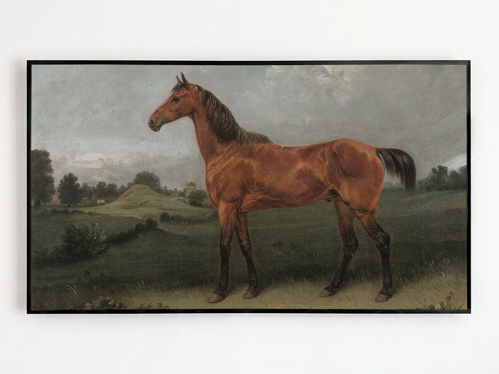 Bay Horse Frame TV