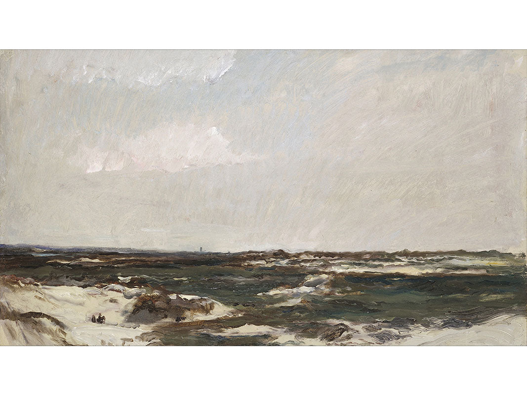 Coastal Dunes Frame TV