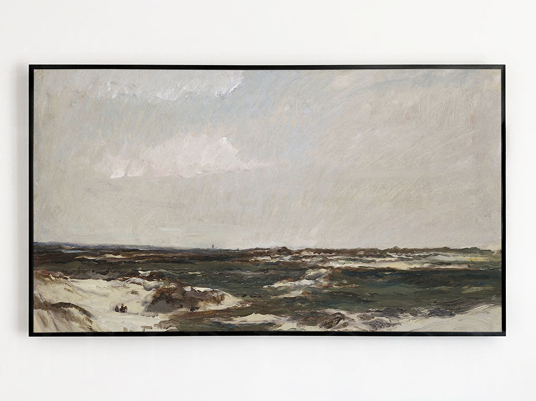 Coastal Dunes Frame TV