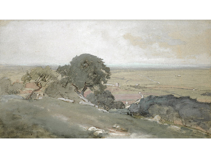 Olive Trees Frame TV