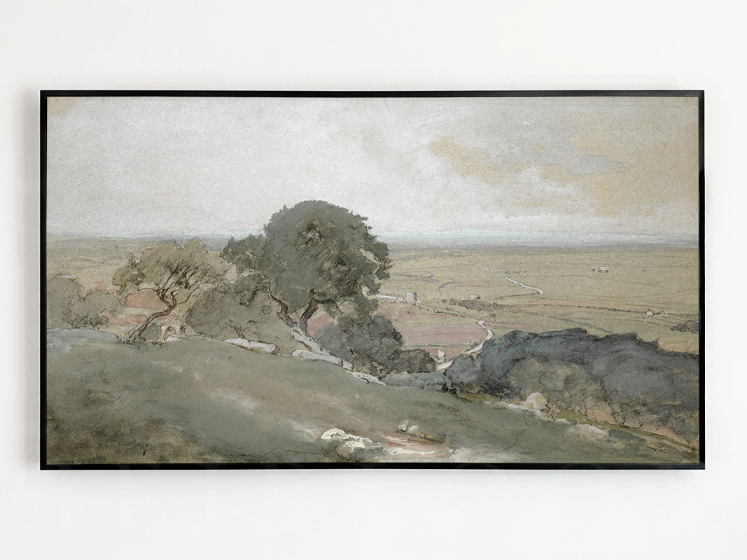 Olive Trees Frame TV