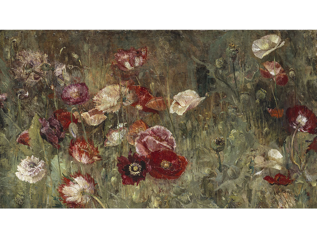 Poppies Frame TV