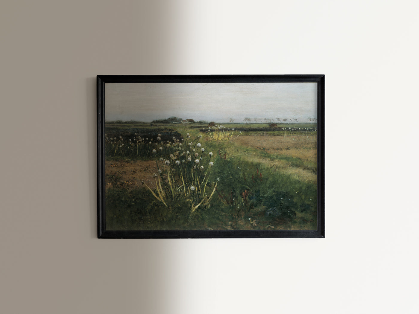 Field