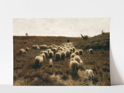 Flock