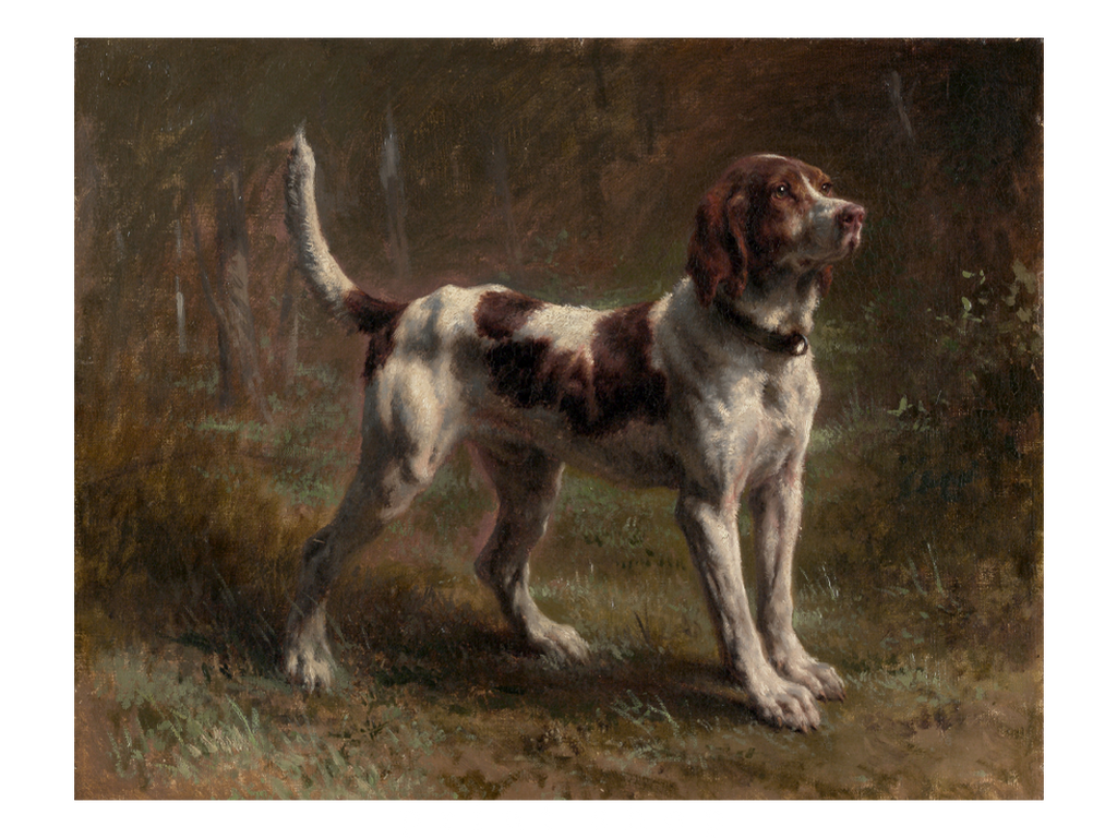 Hound_1024x1024.png?v=1669407231