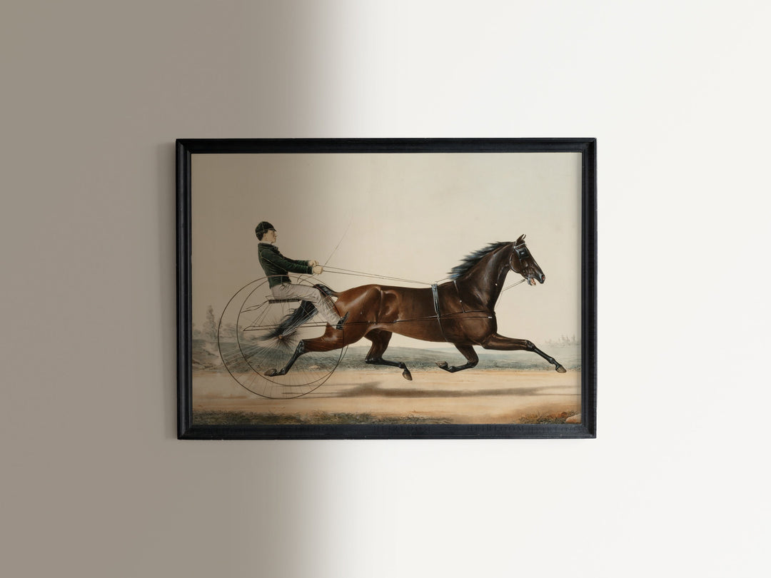The Race - 8x10