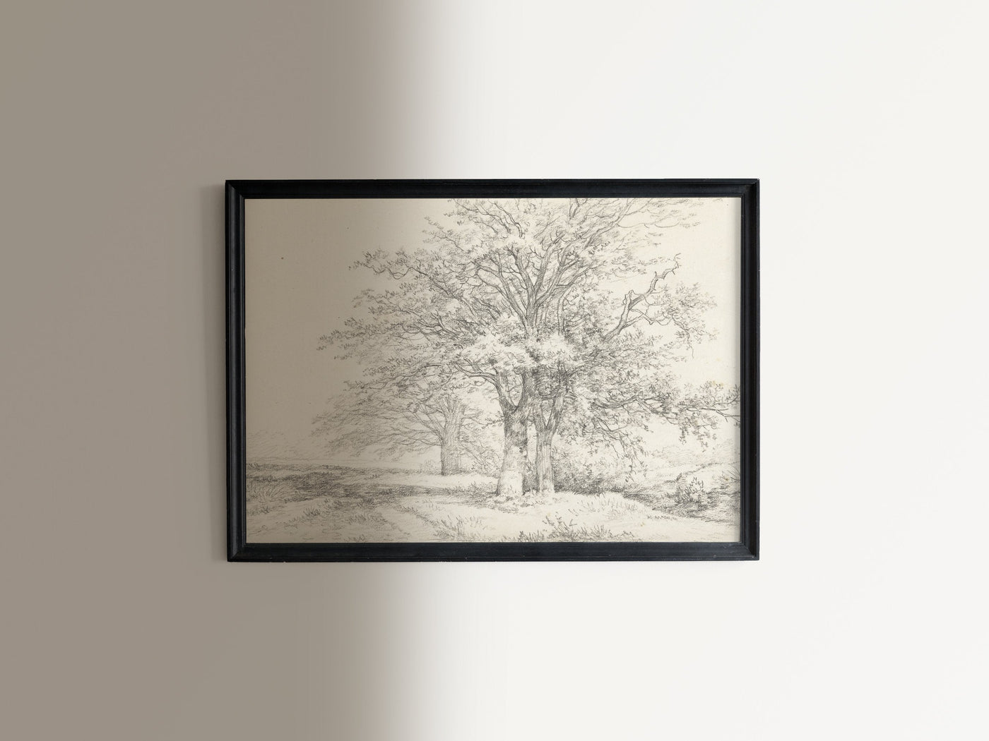 Three Trees