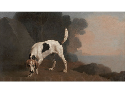 Foxhound Frame TV