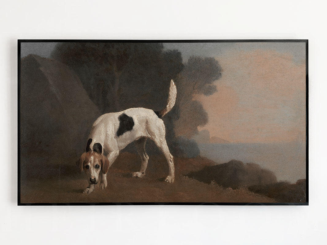 Foxhound Frame TV